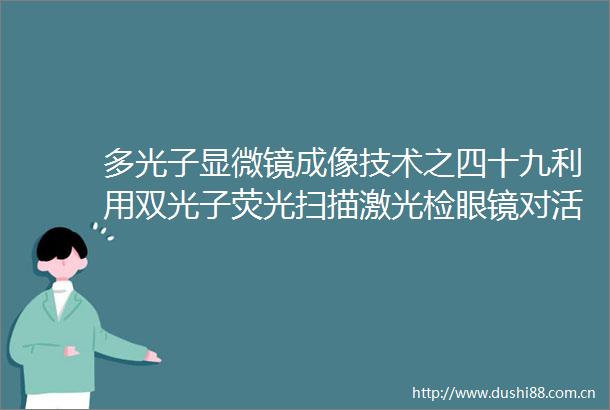 多光子显微镜成像技术之四十九利用双光子荧光扫描激光检眼镜对活体人眼成像