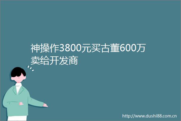 神操作3800元买古董600万卖给开发商