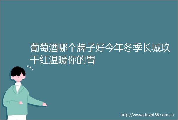 葡萄酒哪个牌子好今年冬季长城玖干红温暖你的胃