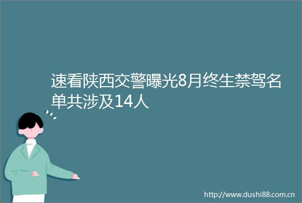 速看陕西8月终生禁驾名单共涉及14人