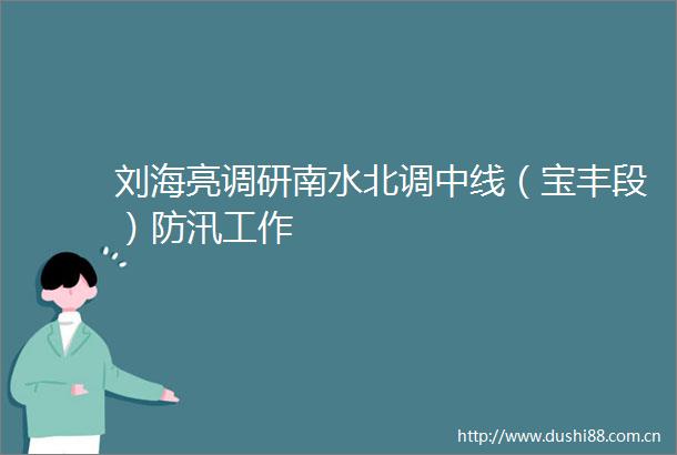 刘海亮调研南水北调中线（宝丰段）防汛工作