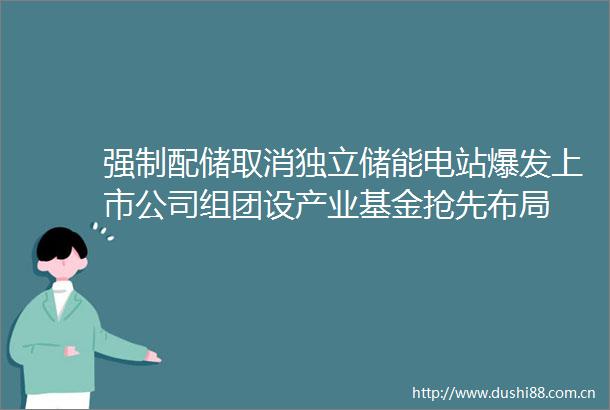 强制配储取消独立储能电站爆发上市公司组团设产业基金抢先布局