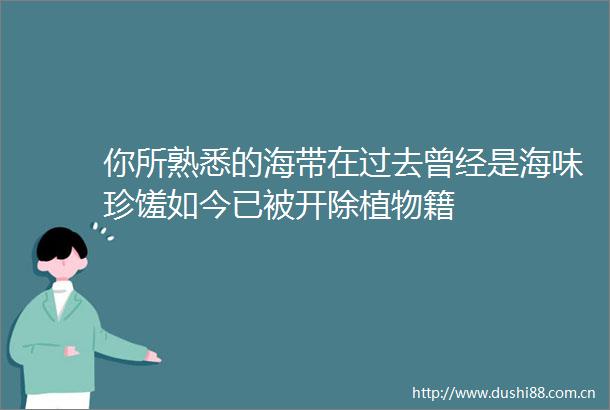你所熟悉的海带在过去曾经是海味珍馐如今已被开除植物籍
