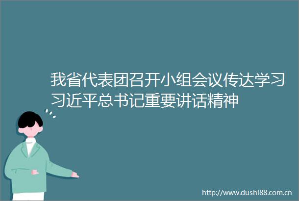 我省代表团召开小组会议传达学习总书记重要讲话精神