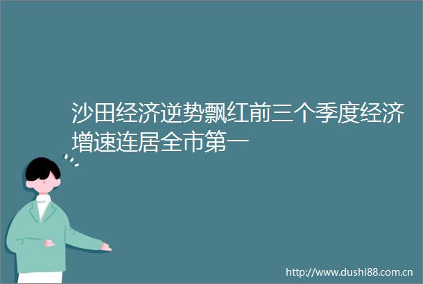 沙田经济逆势飘红前三个季度经济增速连居全市第一