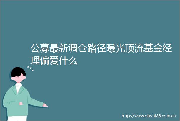 公募最新调仓路径顶流基金经理偏爱什么