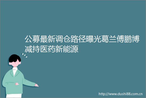 公募最新调仓路径葛兰傅鹏博减持医药新能源