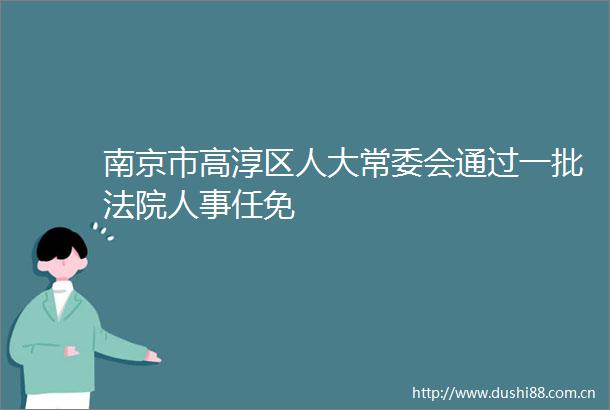 南京市高淳区人大常委会通过一批人事任免