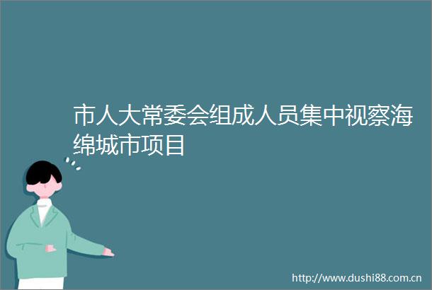 市人大常委会组成人员集中视察海绵城市项目