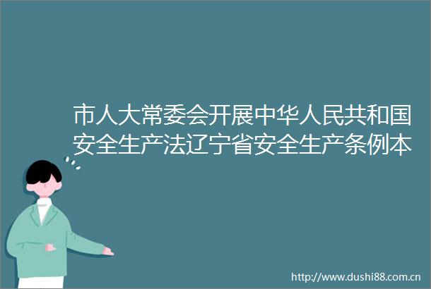 市人大常委会开展中华共和国安全生产法辽宁省安全生产条例本溪市安全生产条例检查工作