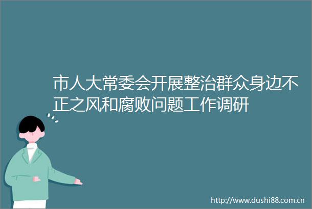 市人大常委会开展整治群众身边不正之风和问题工作调研
