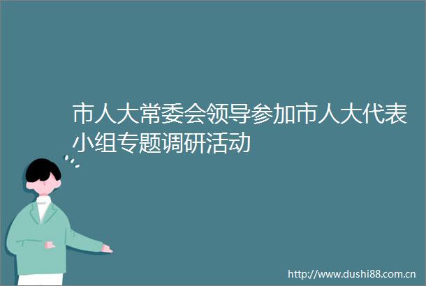 市人大常委会参加市人大代表小组专题调研活动
