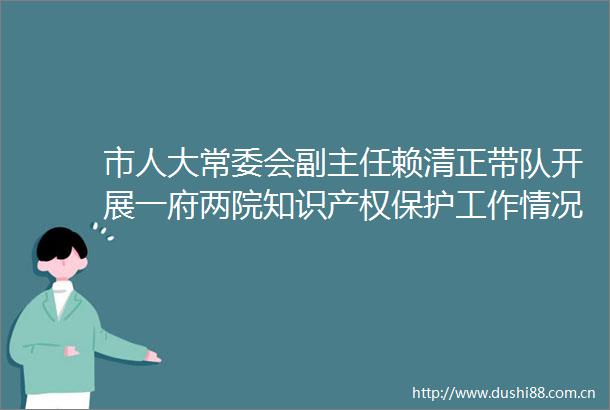 市人大常委会副主任赖清正带队开展一府两院知识产权保护工作情况专题调研