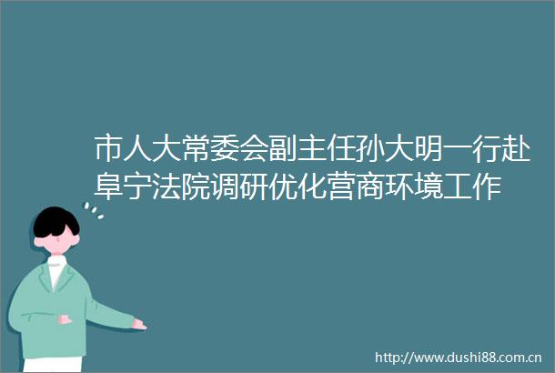 市人大常委会副主任孙大明一行赴阜宁调研优化营商环境工作