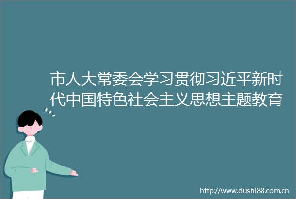 市人大常委会学习贯彻新时代特色社会主义思想主题教育总结会议召开