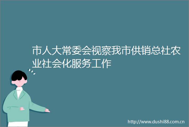 市人大常委会视察我市供销总社农业社会化服务工作