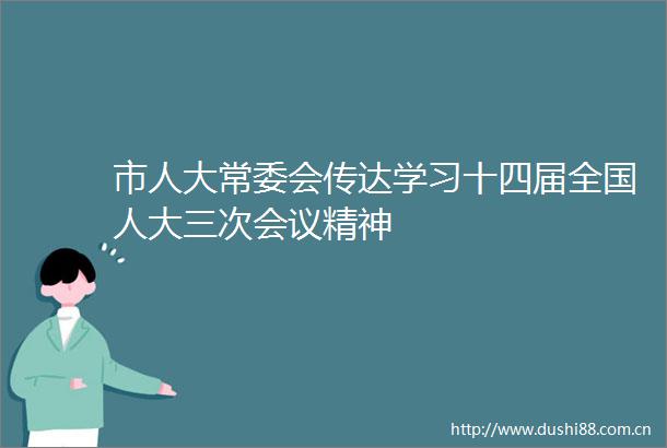 市人大常委会传达学习十四届全国人大三次会议精神