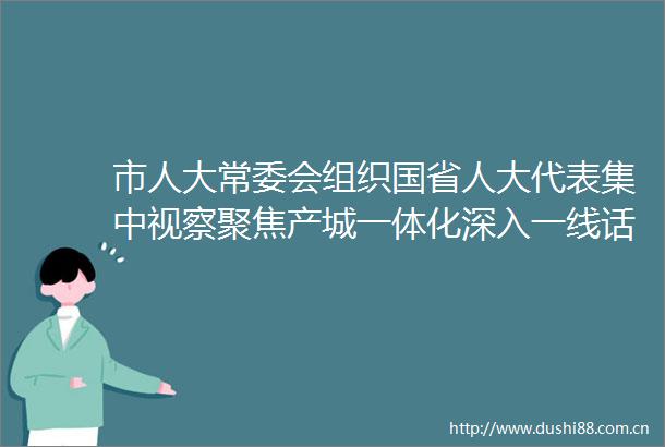 市人大常委会组织国省人大代表集中视察聚焦产城一体化深入一线话发展