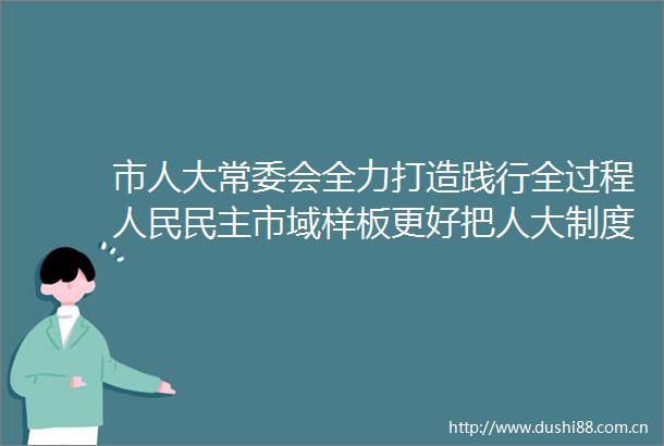 市人大常委会全力打造践行全过程民主市域样板更好把人大制度优势转化为现代化新侨都治理效能