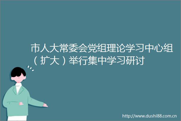 市人大常委会党组理论学习中心组（扩大）举行集中学习研讨