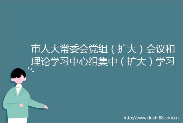 市人大常委会党组（扩大）会议和理论学习中心组集中（扩大）学习会议要求严新细实学思践悟做精做实人大主责主业