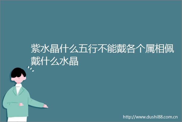 紫水晶什么五行不能戴各个属相佩戴什么水晶