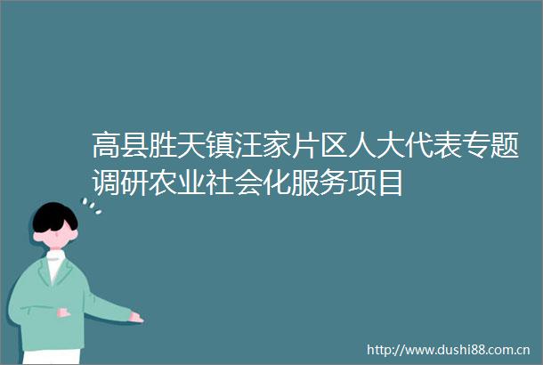 高县胜天镇汪家片区人大代表专题调研农业社会化服务项目