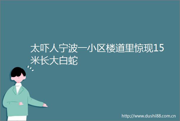 太吓人宁波一小区楼道里惊现15米长大白蛇