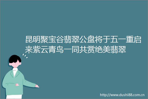 昆明聚宝谷翡翠公盘将于五一重启来紫云青鸟一同共赏绝美翡翠