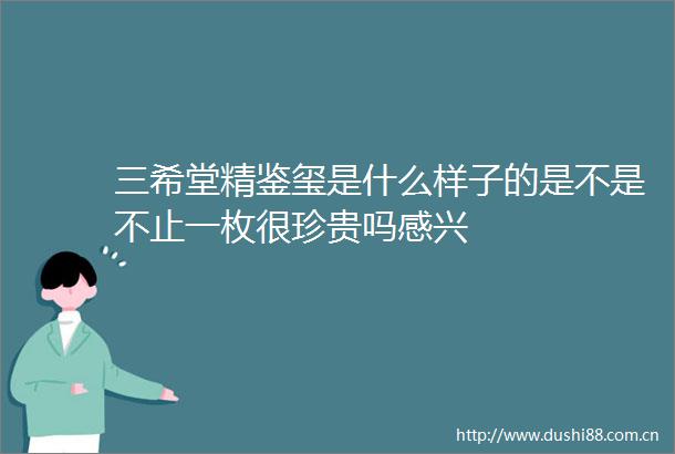 三希堂精鉴玺是什么样子的是不是不止一枚很珍贵吗感兴