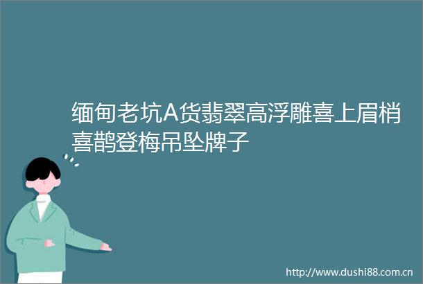 缅甸老坑A货翡翠高浮雕喜上眉梢喜鹊登梅吊坠牌子