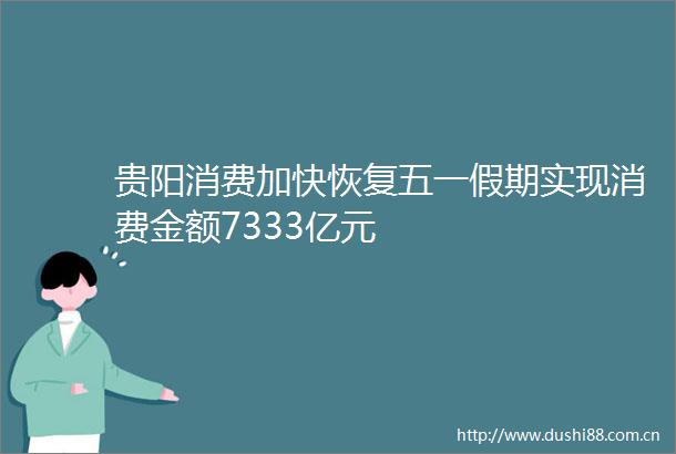 贵阳消费加快恢复五一假期实现消费金额7333亿元
