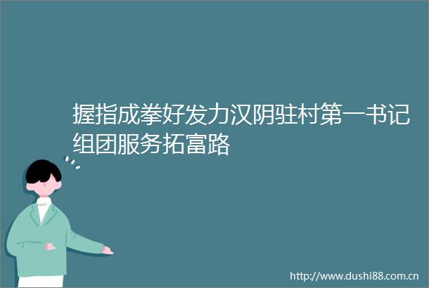 握指成拳好发力汉阴驻村第一书记组团服务拓富路