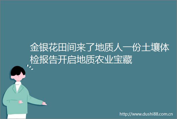 金银花田间来了地质人一份土壤体检报告开启地质农业宝藏