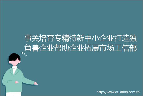 事关培育专精特新中小企业打造独角兽企业帮助企业拓展市场工信部权威解读来了