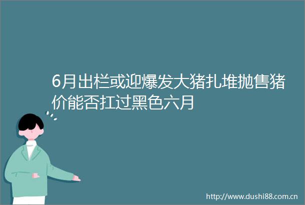6月出栏或迎爆发大猪扎堆抛售猪价能否扛过黑色六月