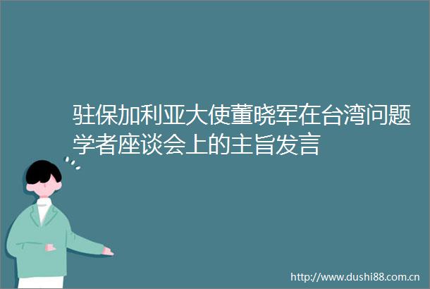 驻保加利亚大使董晓军在台湾问题学者座谈会上的主旨发言