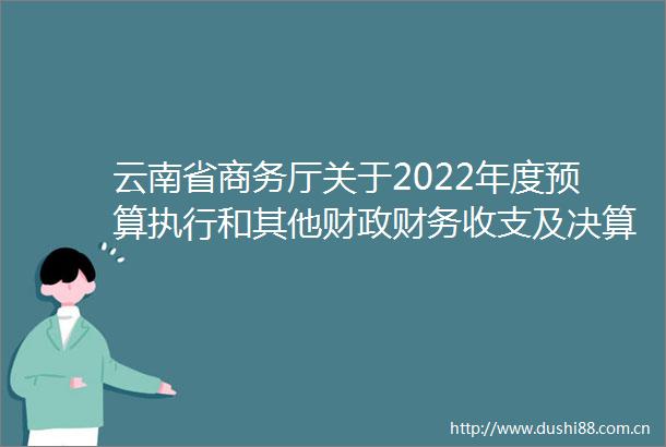 云南省商务厅关于2022年度预算执行和其他财政财务收支及决算草案编制审计反馈问题整改的情况报告