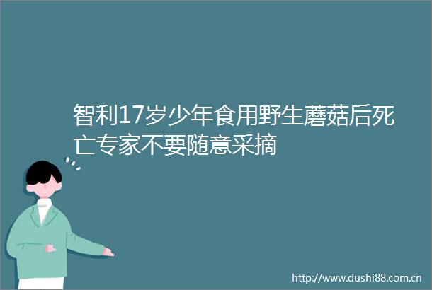 智利17岁少年食用野生蘑菇后死亡专家不要随意采摘