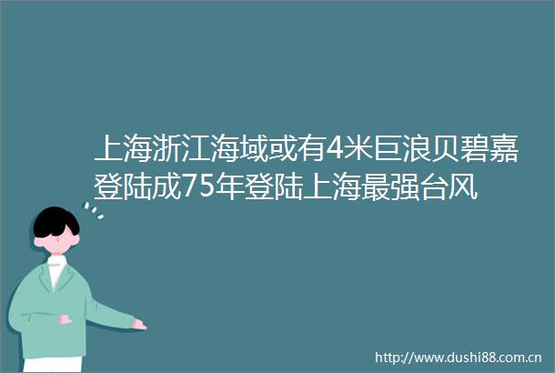 上海浙江海域或有4米巨浪贝碧嘉登陆成75年登陆上海最强台风