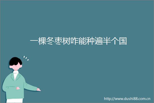 一棵冬枣树咋能种遍半个国
