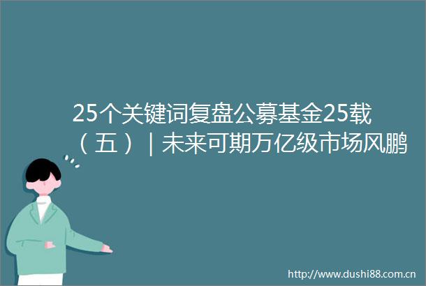 25个关键词复盘公募基金25载（五）｜未来可期万亿级市场风鹏正举
