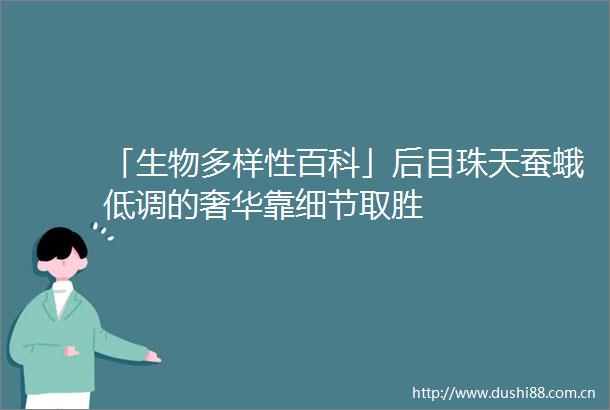 「生物多样性百科」后目珠天蚕蛾低调的奢华靠细节取胜