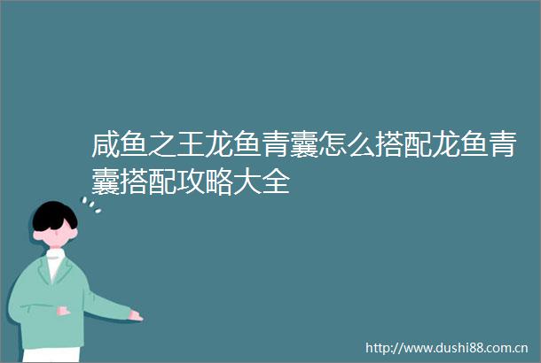 咸鱼之王龙鱼青囊怎么搭配龙鱼青囊搭配攻略大全
