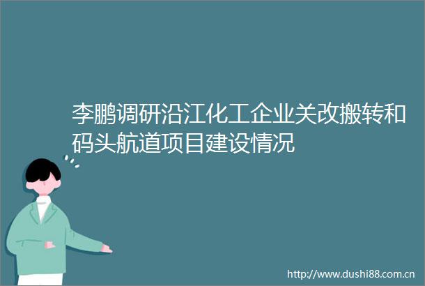 李鹏调研沿江化工企业关改搬转和码头航道项目建设情况