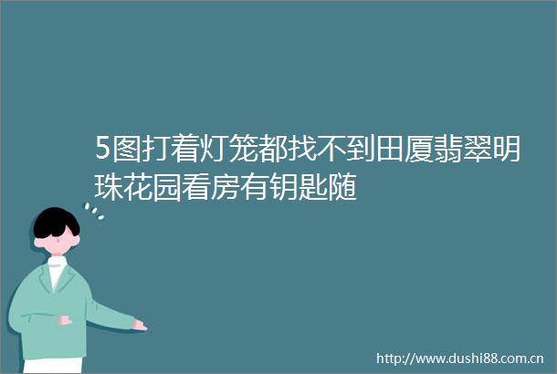 5图打着灯笼都找不到田厦翡翠明珠花园看房有钥匙随