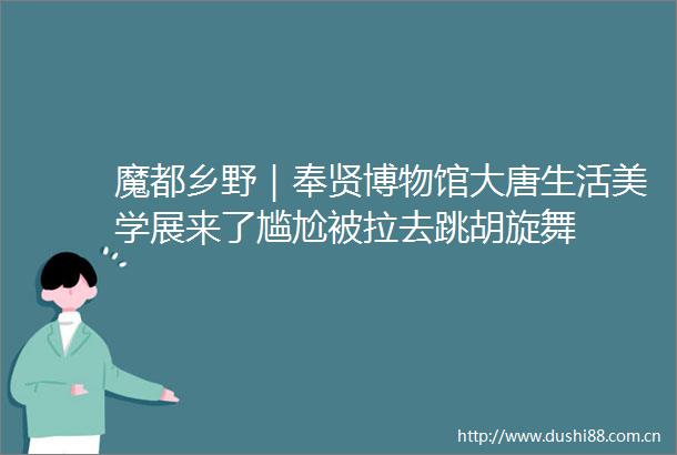 魔都乡野｜奉贤博物馆大唐生活美学展来了尴尬被拉去跳胡旋舞