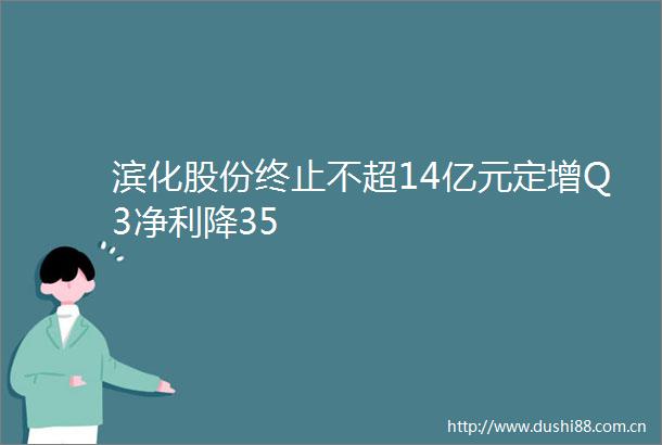 滨化股份终止不超14亿元定增Q3净利降35