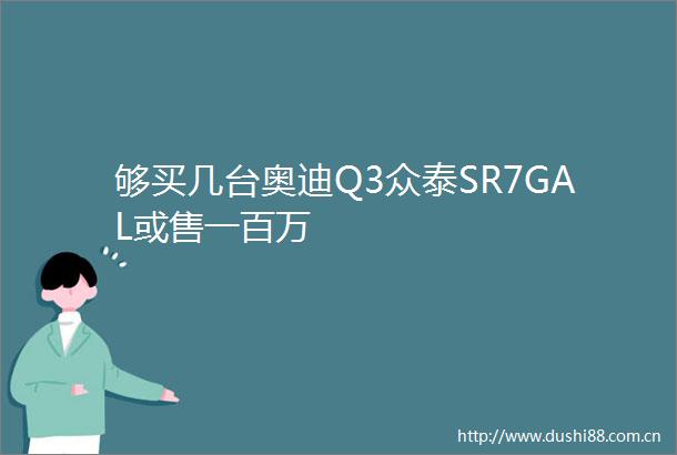 够买几台奥迪Q3众泰SR7GAL或售一百万