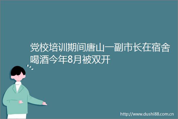 党校培训期间唐山一副市长在宿舍喝酒今年8月被双开
